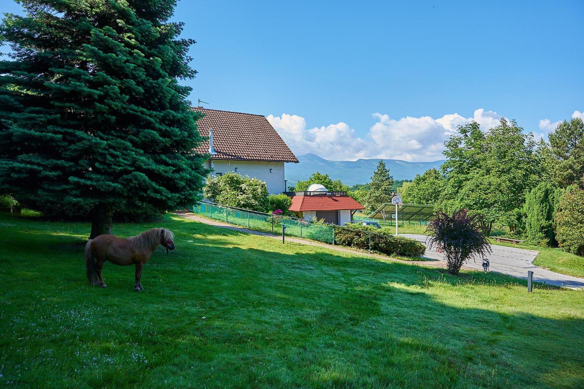 Willa Pod Brzeznikiem Bukowiec (Lower Silesia) Exterior foto